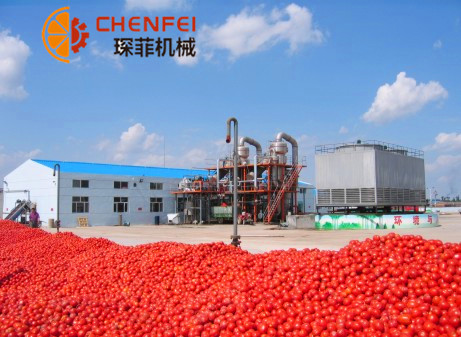 <b>2000吨/天番茄酱生产线  番茄加工设备</b>