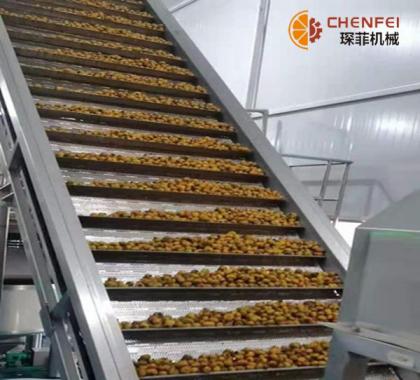 <b>每小时5吨刺梨汁生产线  10吨刺梨加工设备</b>