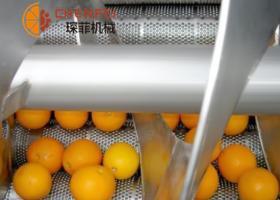 柑橘类水果加工生产线